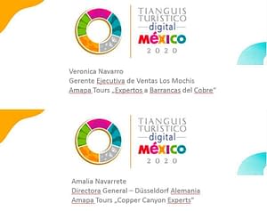 Tianguis Turistico Digital México 2020
