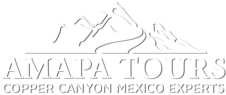 Amapa Tours